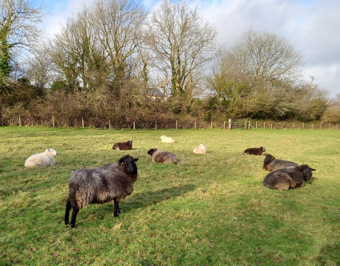 Winter 2021: surviving winter&nbsp;storms