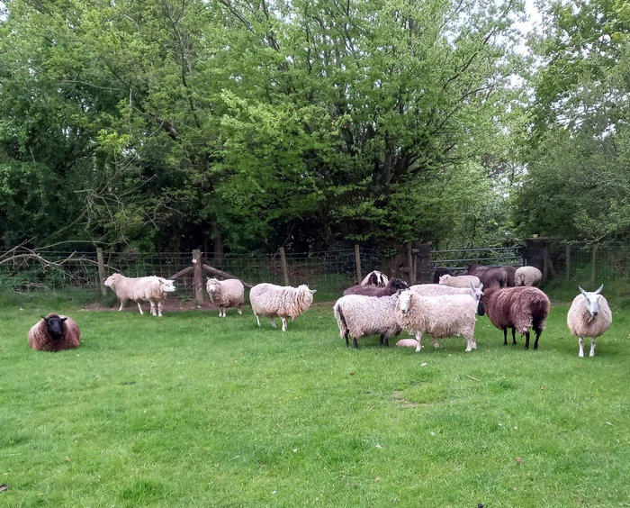 Spring 2022: an exceptionally cold&nbsp;season