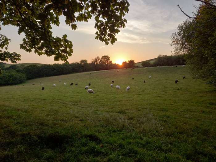 Summer 2022: temperatures soar as we keep&nbsp;busy