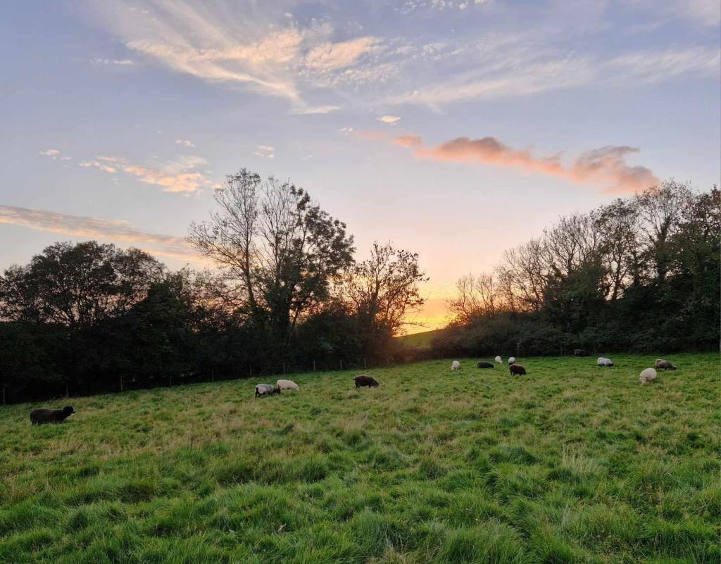 Autumn 2023: the mud&nbsp;continues