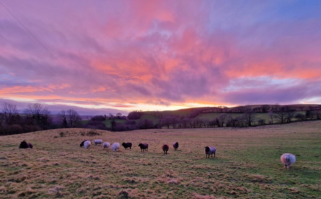 This felt like the longest Winter&nbsp;EVER…