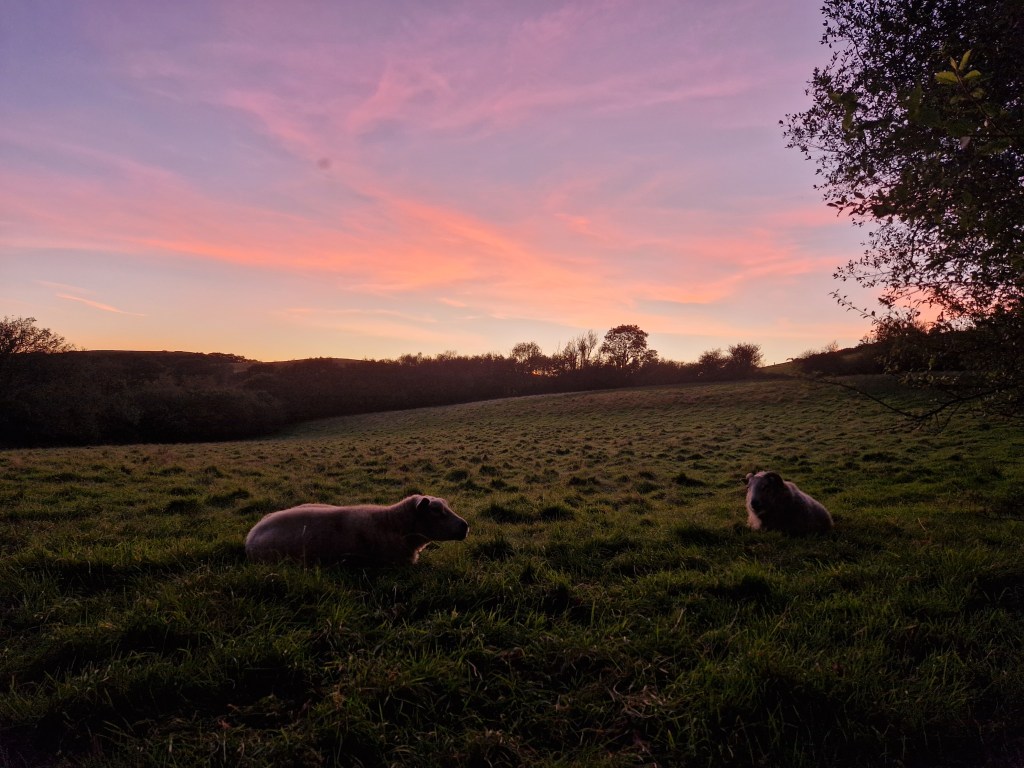 Stocking up for Winter, loss and constant&nbsp;worries