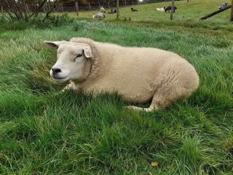 A destructive storm and heartbreaking&nbsp;loss