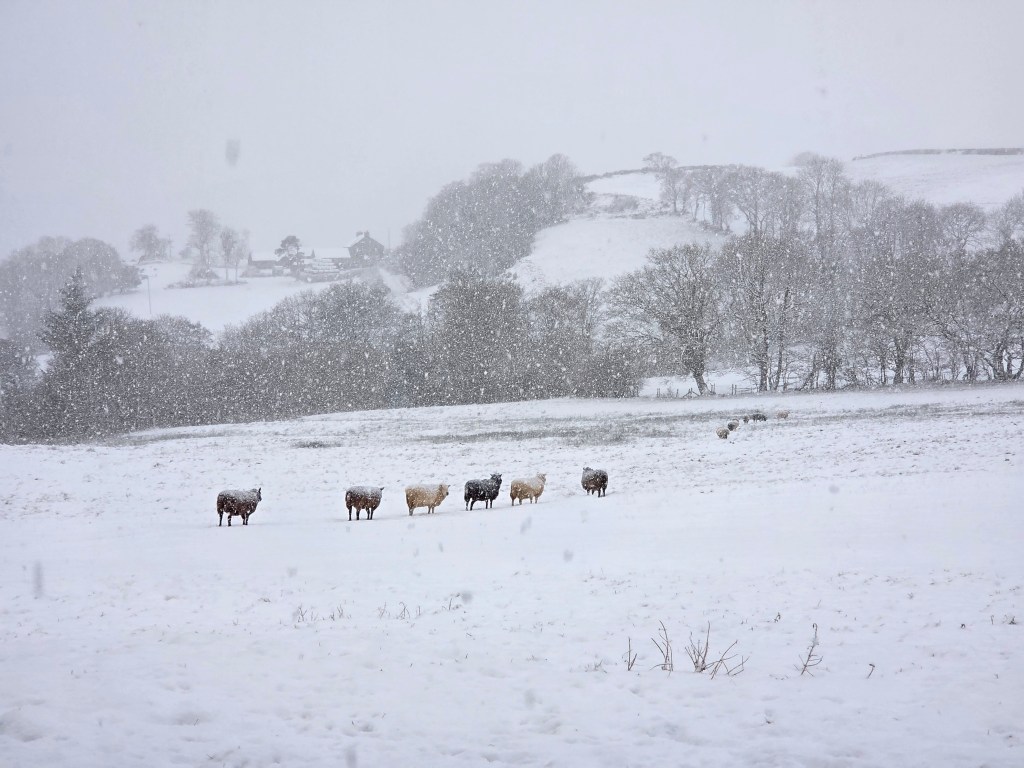 Winter Storms, Snow and plenty of&nbsp;Mud!